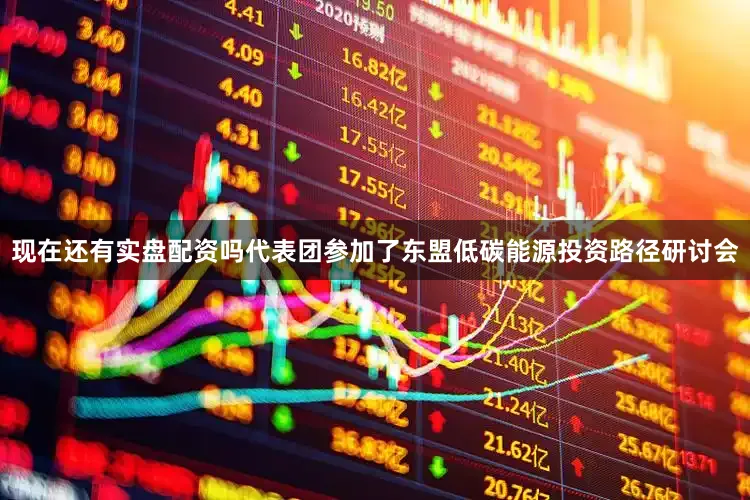 现在还有实盘配资吗代表团参加了东盟低碳能源投资路径研讨会